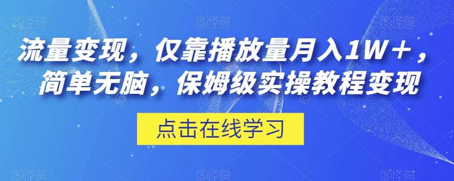 流量变现，仅靠播放量月入1W＋，简单无脑，保姆级实操教程【揭秘】-时光论坛