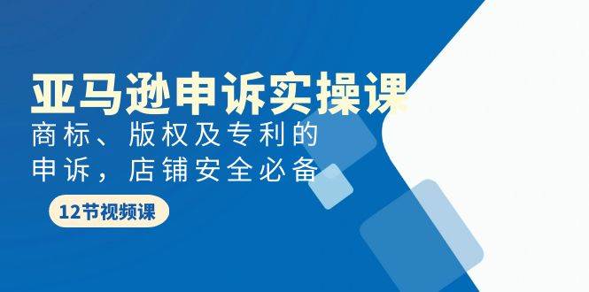 （9754期）亚马逊-申诉实战课，​商标、版权及专利的申诉，店铺安全必备-时光论坛