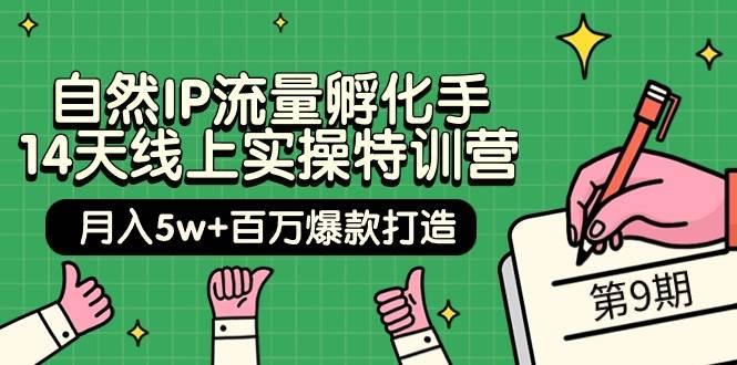 （9881期）自然IP流量孵化手 14天线上实操特训营【第9期】月入5w+百万爆款打造 (74节)-时光论坛