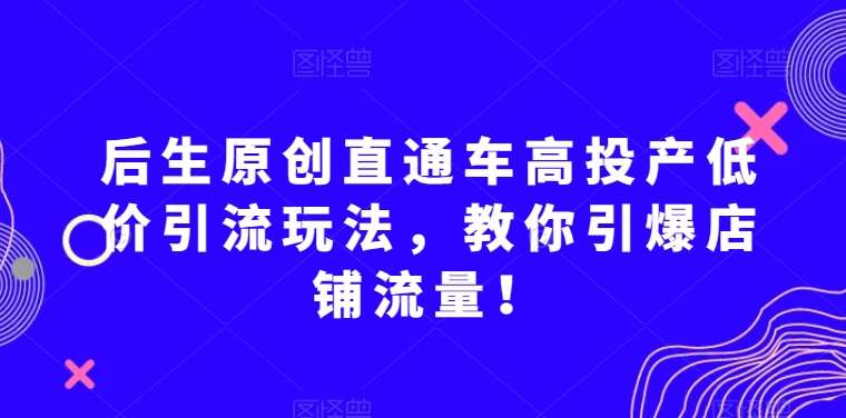 后生原创直通车高投产低价引流玩法，教你引爆店铺流量！-时光论坛