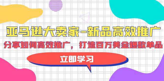 （9945期）亚马逊 大卖家-新品高效推广，分享如何高效推广，打造百万美金爆款单品-时光论坛