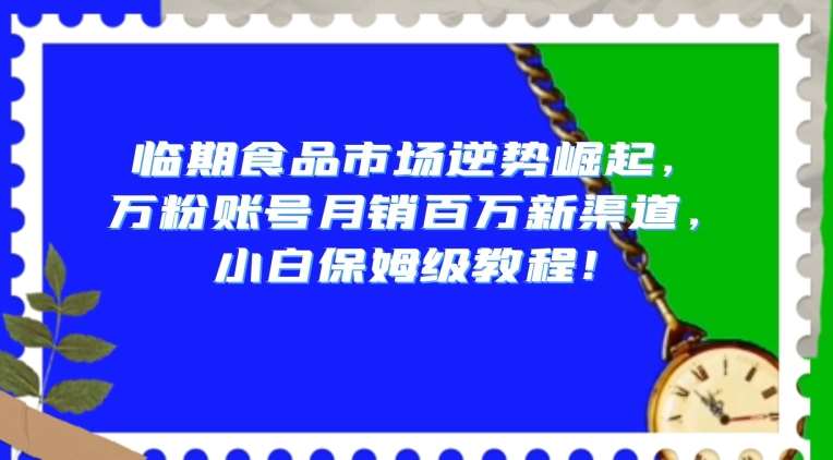 临期食品市场逆势崛起，万粉账号月销百万新渠道，小白保姆级教程【揭秘】-时光论坛