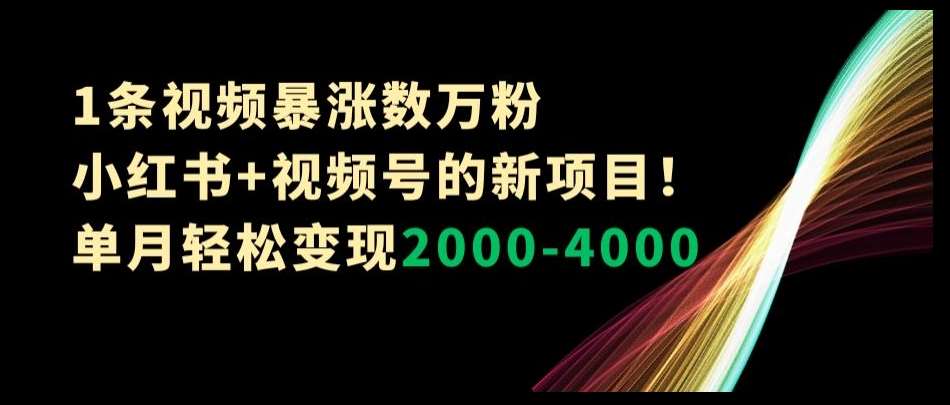 1条视频暴涨数万粉–小红书+视频号的新项目！单月轻松变现2000-4000【揭秘】-时光论坛