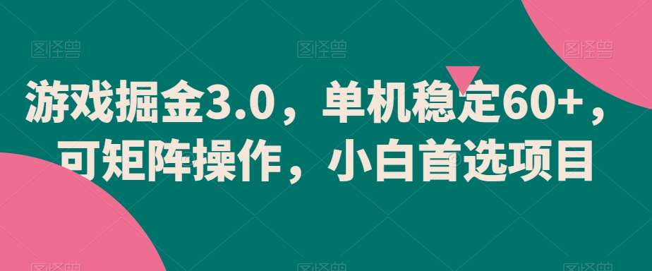 游戏掘金3.0，单机稳定60+，可矩阵操作，小白首选项目【揭秘】-时光论坛
