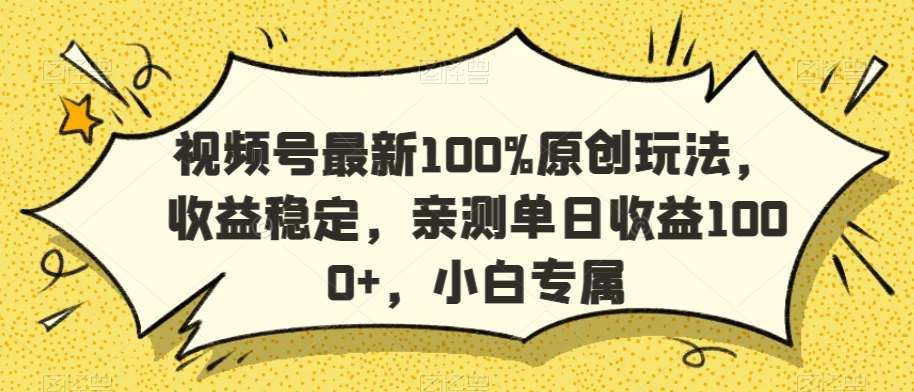 视频号最新100%原创玩法，收益稳定，亲测单日收益1000+，小白专属【揭秘】-时光论坛