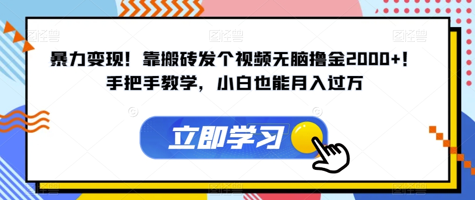暴力变现！靠搬砖发个视频无脑撸金2000+！手把手教学，小白也能月入过万【揭秘】-时光论坛