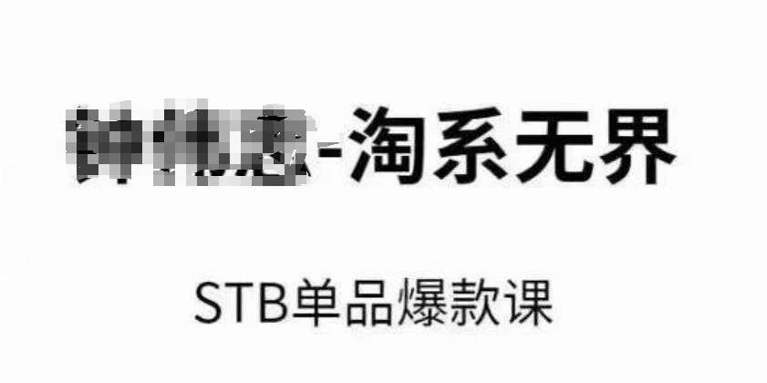 淘系无界STB单品爆款课（2024），付费带动免费的核心逻辑，万相台无界关键词推广/精准人群的核心-时光论坛
