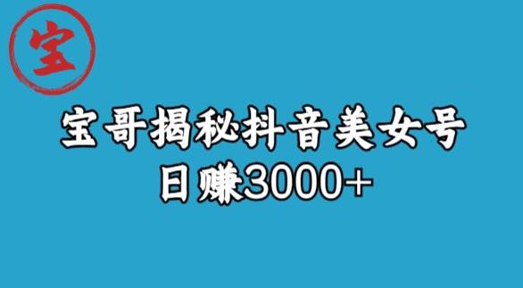 宝哥揭秘抖音美女号玩法，日赚3000+【揭秘】-时光论坛