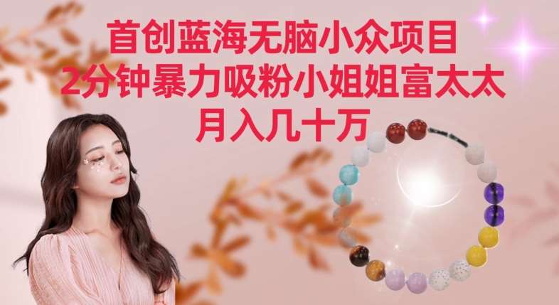 首创蓝海无脑小众项目，2分钟暴力吸粉小姐姐富太太，月入几十万【揭秘】-时光论坛