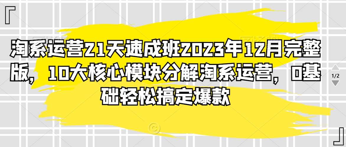 淘系运营21天速成班2023年12月完整版，10大核心模块分解淘系运营，0基础轻松搞定爆款-时光论坛