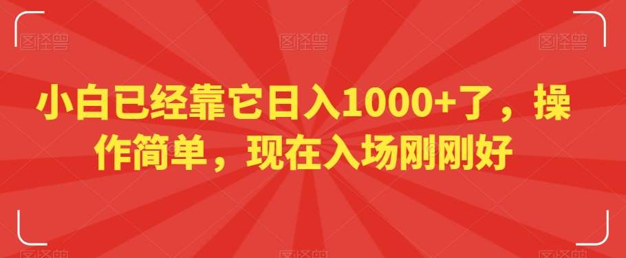 小白已经靠它日入1000+了，操作简单，现在入场刚刚好【揭秘】-时光论坛