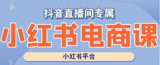 小红书电商高级运营课程，实操教学+案例分析-时光论坛