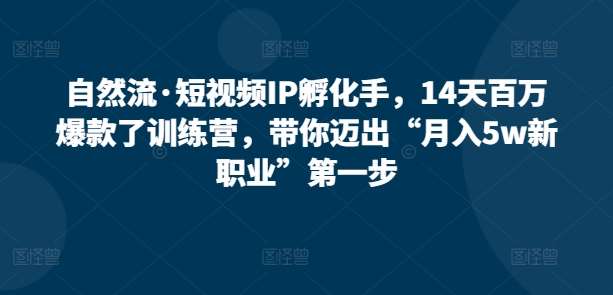 自然流·短视频IP孵化手，14天百万爆款了训练营，带你迈出“月入5w新职业”第一步-时光论坛