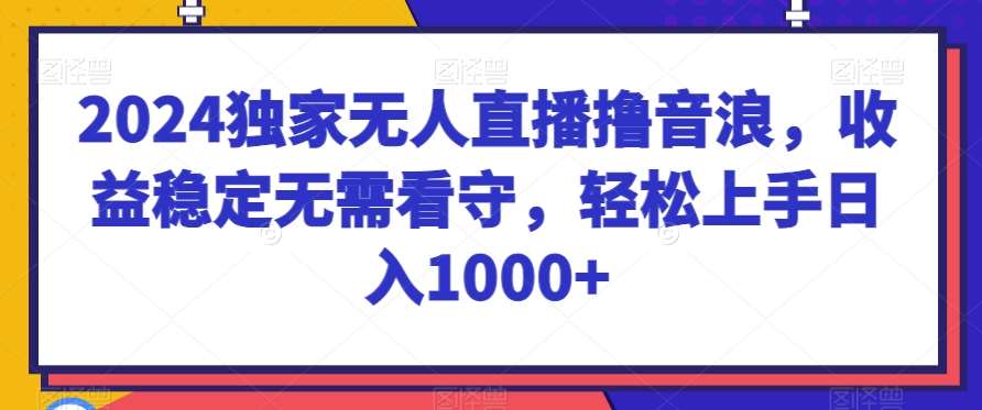 2024独家无人直播撸音浪，收益稳定无需看守，轻松上手日入1000+【揭秘】-时光论坛