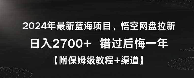 2024年最新蓝海项目，悟空网盘拉新，日入2700+错过后悔一年【附保姆级教程+渠道】【揭秘】-时光论坛