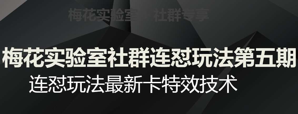 梅花实验室社群连怼玩法第五期，视频号连怼玩法最新卡特效技术-时光论坛