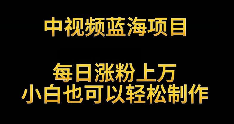 中视频蓝海项目，解读英雄人物生平，每日涨粉上万，小白也可以轻松制作，月入过万不是梦【揭秘】-时光论坛