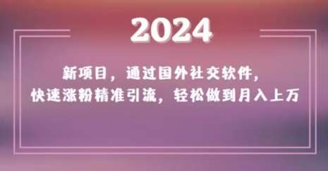 2024新项目，通过国外社交软件，快速涨粉精准引流，轻松做到月入上万【揭秘】-时光论坛