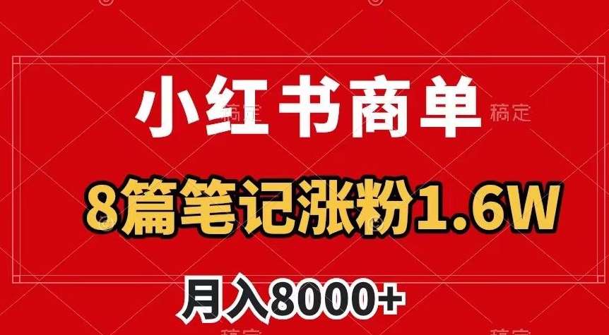 小红书商单最新玩法，8篇笔记涨粉1.6w，作品制作简单，月入8000+【揭秘】-时光论坛