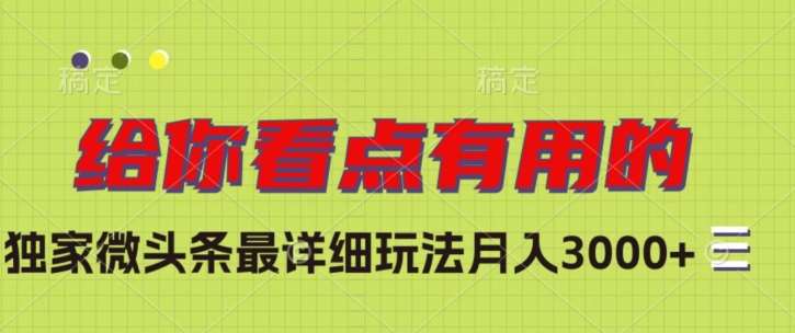 独家微头条最详细玩法，月入3000+【揭秘】-时光论坛