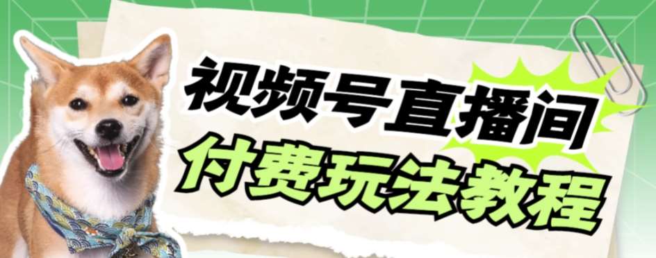 视频号美女付费无人直播，轻松日入500+【详细玩法教程】-时光论坛