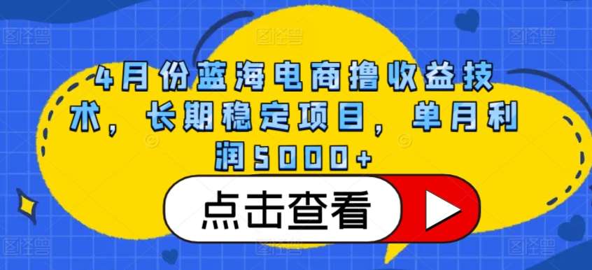 4月份蓝海电商撸收益技术，长期稳定项目，单月利润5000+【揭秘】-时光论坛