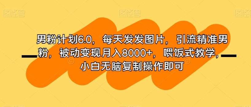 男粉计划6.0，每天发发图片，引流精准男粉，被动变现月入8000+，喂饭式教学，小白无脑复制操作即可-时光论坛