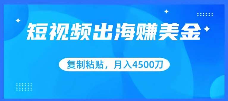 短视频出海赚美金，复制粘贴批量操作，小白轻松掌握，月入4500美刀【揭秘】-时光论坛