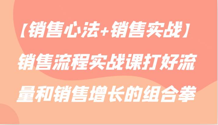 【销售心法+销售实战】销售流程实战课打好流量和销售增长的组合拳-时光论坛