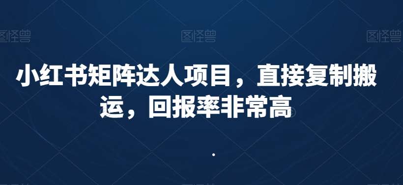 小红书矩阵达人项目，直接复制搬运，回报率非常高-时光论坛