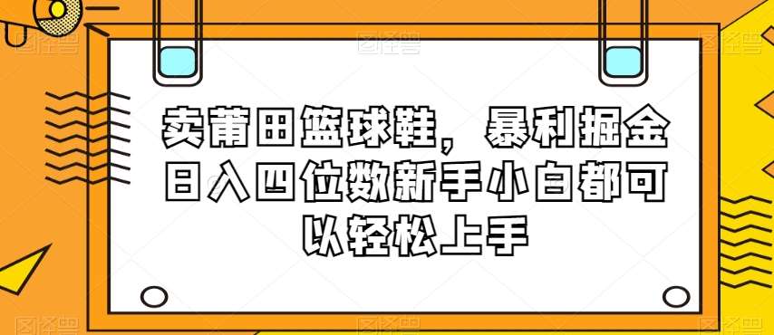 卖莆田篮球鞋，暴利掘金日入四位数新手小白都可以轻松上手【揭秘】-时光论坛