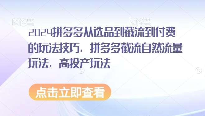 2024拼多多从选品到截流到付费的玩法技巧，拼多多截流自然流量玩法，高投产玩法-时光论坛