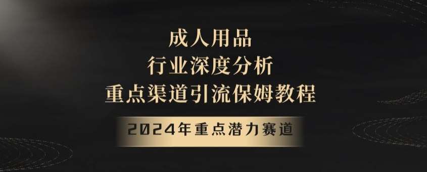 2024年重点潜力赛道，成人用品行业深度分析，重点渠道引流保姆教程【揭秘】-时光论坛