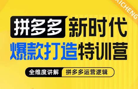 玺承·拼多多新时代爆款打造特训营，全维度讲解拼多多运营逻辑-时光论坛