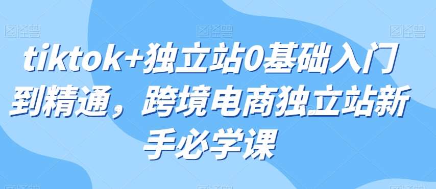 tiktok+独立站0基础入门到精通，跨境电商独立站新手必学课-时光论坛