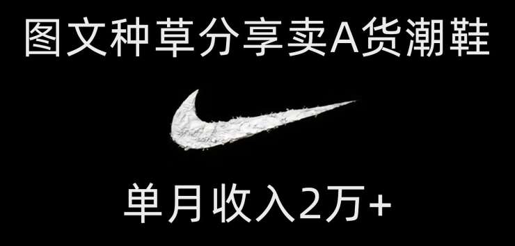 靠图文种草分享卖A货潮鞋，每天一小时，单月收入2万+【揭秘】-时光论坛
