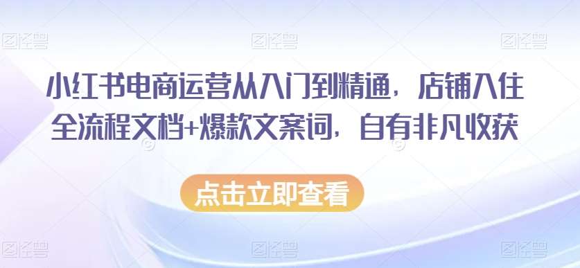 小红书电商运营从入门到精通，店铺入住全流程文档+爆款文案词，自有非凡收获-时光论坛