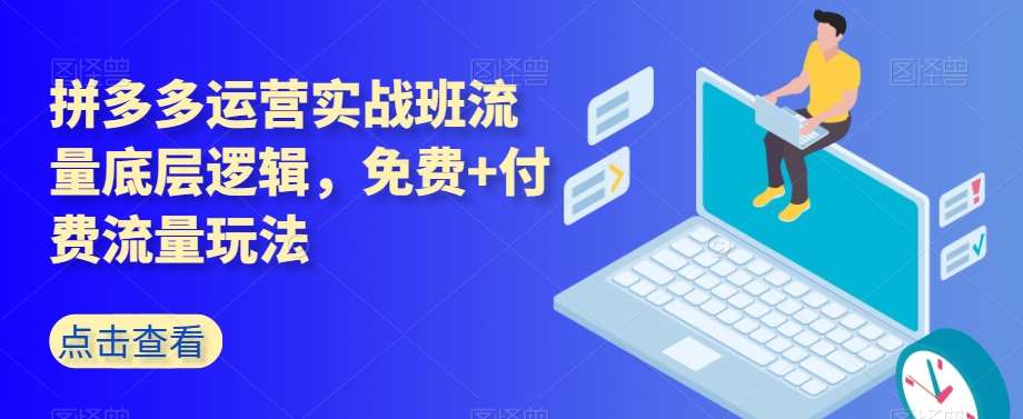 拼多多运营实战班流量底层逻辑，免费+付费流量玩法-时光论坛