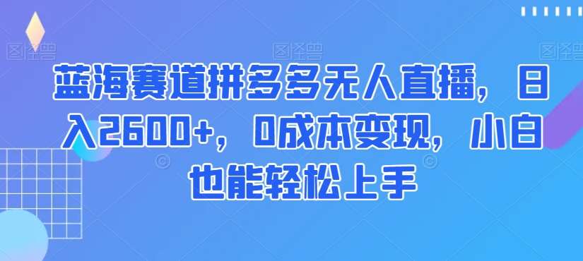 蓝海赛道拼多多无人直播，日入2600+，0成本变现，小白也能轻松上手【揭秘】-时光论坛