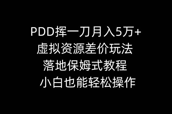 （8849期）PDD挥一刀月入5万+，虚拟资源差价玩法，落地保姆式教程，小白也能轻松操作-时光论坛