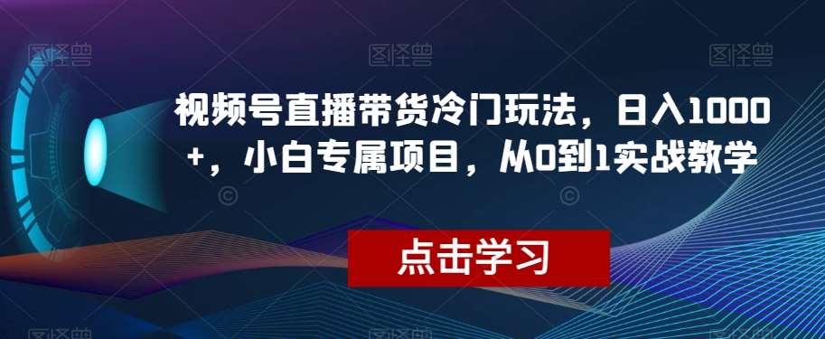 视频号直播带货冷门玩法，日入1000+，小白专属项目，从0到1实战教学【揭秘】-时光论坛