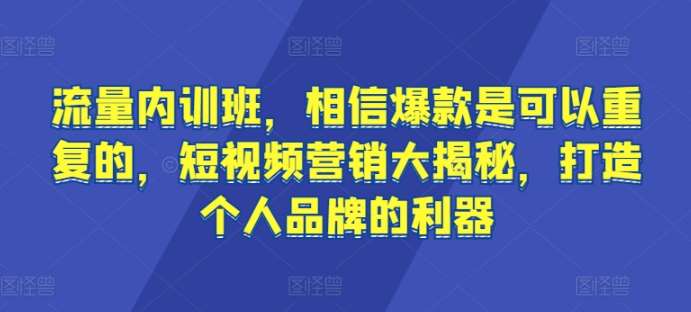 流量内训班，相信爆款是可以重复的，短视频营销大揭秘，打造个人品牌的利器-时光论坛