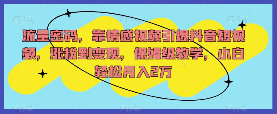 流量密码，靠情感视频引爆抖音短视频，涨粉到变现，保姆级教学，小白轻松月入2万【揭秘】-时光论坛