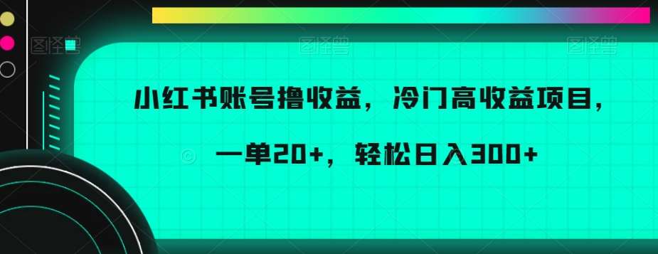 小红书账号撸收益，冷门高收益项目，一单20+，轻松日入300+【揭秘】-时光论坛