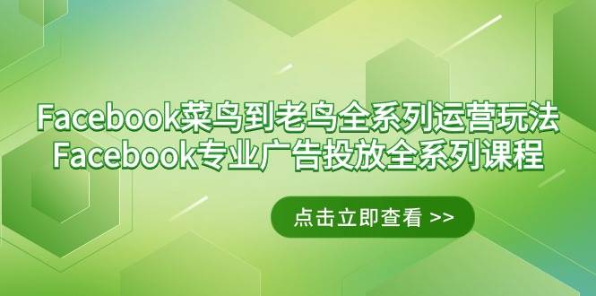 （9064期）Facebook-菜鸟到老鸟全系列运营玩法+Facebook-专业广告投放全系列课程-时光论坛