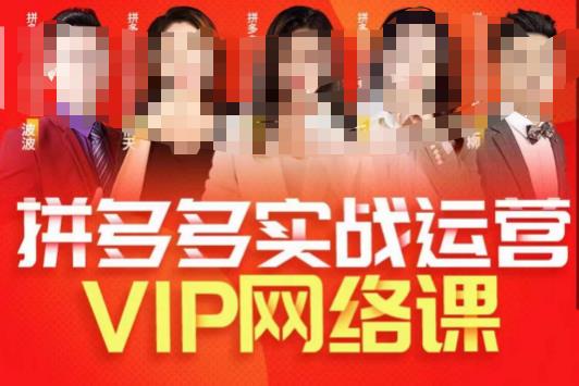 推易拼多多VIP全套直播课程，拼多多店铺实操玩法+实战玩法选款内功+直通车高阶等-时光论坛