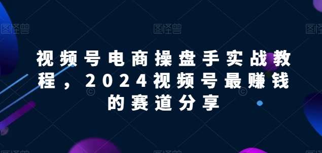 视频号电商实战教程，2024视频号最赚钱的赛道分享-时光论坛