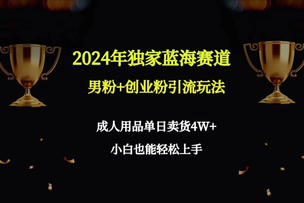 （9112期）2024年独家蓝海赛道男粉+创业粉引流玩法，成人用品单日卖货4W+保姆教程-时光论坛