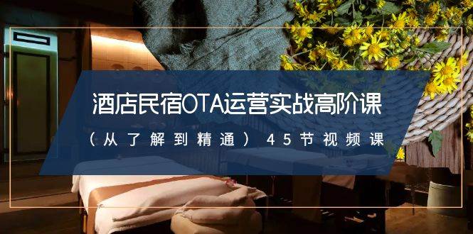 酒店民宿OTA运营实战高阶课（从了解到精通）45节视频课-时光论坛