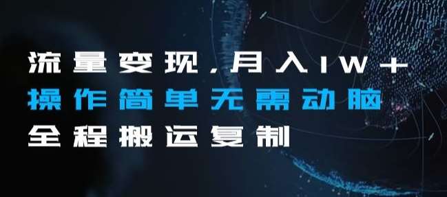 流量变现，月入1W+操作简单无需动脑全程搬运复制【揭秘】-时光论坛
